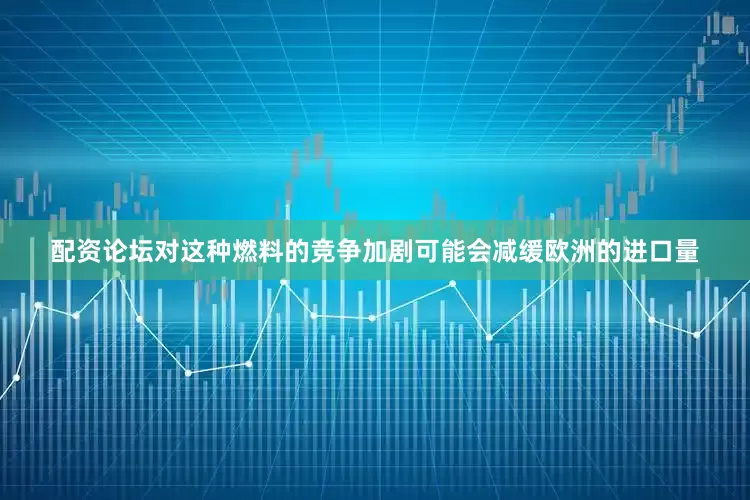配资论坛对这种燃料的竞争加剧可能会减缓欧洲的进口量
