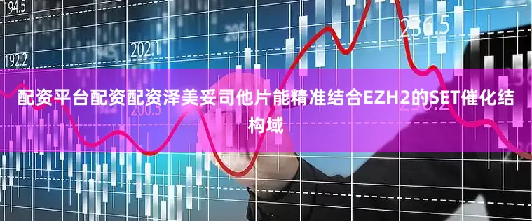配资平台配资配资泽美妥司他片能精准结合EZH2的SET催化结构域
