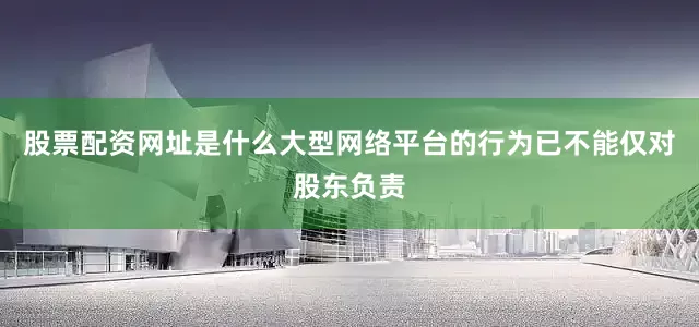 股票配资网址是什么大型网络平台的行为已不能仅对股东负责